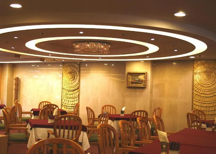 Hotel Rex 4*