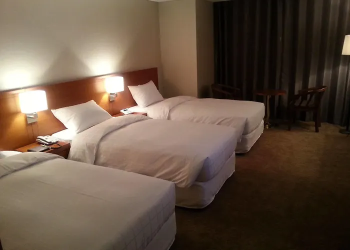 Rex Hotel 4*